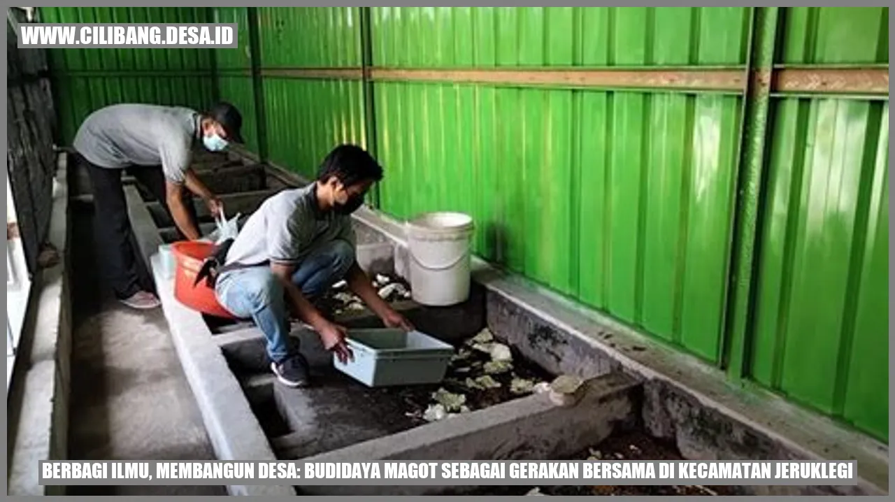 Budidaya Magot di Kecamatan Jeruklegi